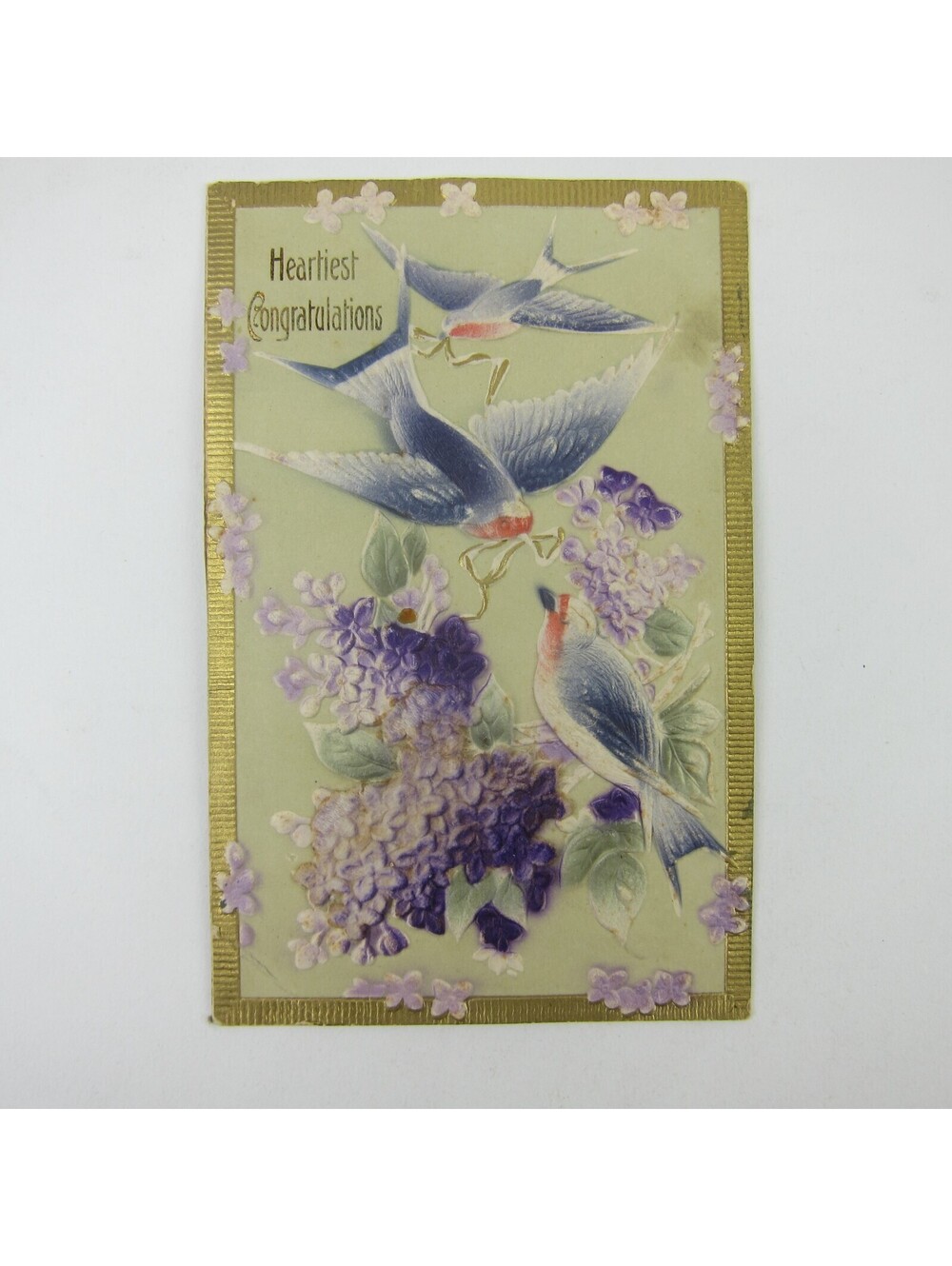 Postcard Congratulations Blue Birds Purple Flowers Gold Trim 3D Embossed Antique